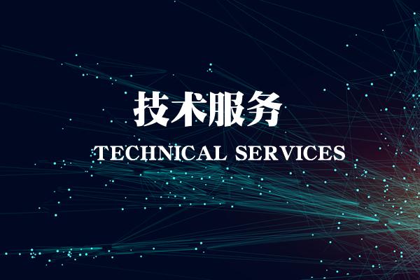 技术服务